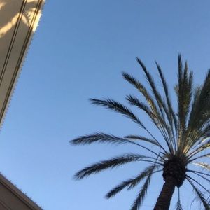 Meet your Posher, Melanny